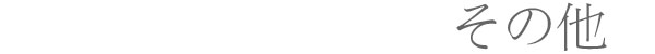 その他